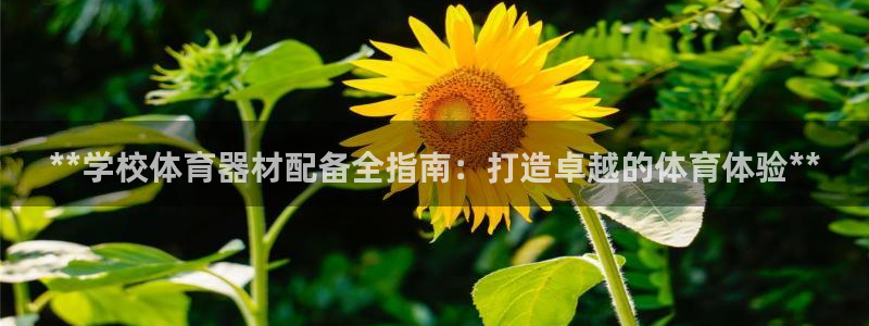 极悦平台官网入口网址：**学校体育器材配备全指南：打