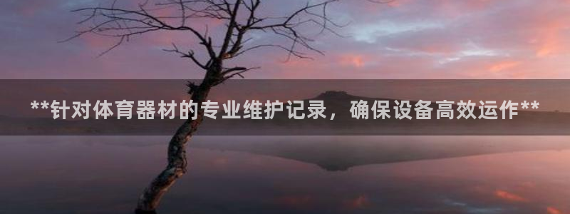 极悦娱乐成7O777：**针对体育器材的专业维护记录