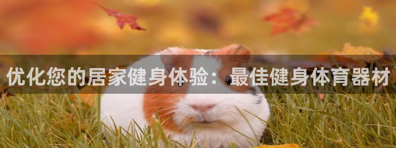 极悦平台和蓝狮平台区别是什么：优化您的居家健身体验：