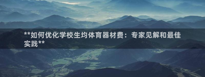 极悦平台登录入口注册不了：**如何优化学校生均体育器