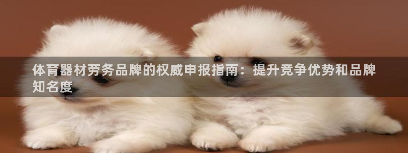 极悦平台代理怎么赚钱的：体育器材劳务品牌的权威申报指