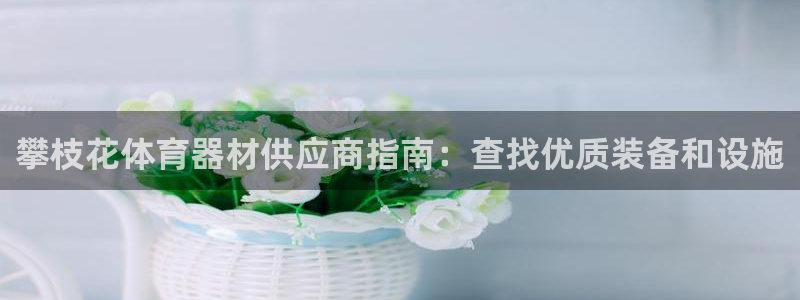 极悦官方网站app下载：攀枝花体育器材供应商指南：查