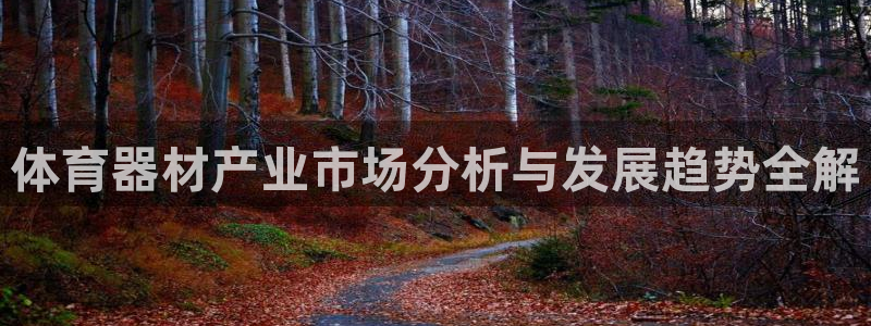 极悦平台决7O777：体育器材产业市场分析与发展趋势