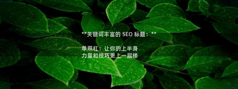 加盟极悦教育：**关键词丰富的 SEO 标题：**
