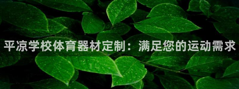 极悦平台用户反馈和反馈的区别：平凉学校体育器材定制：