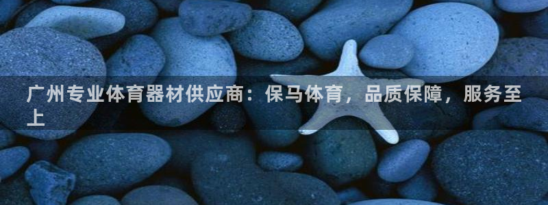 极悦娱乐代理：广州专业体育器材供应商：保马体育，品质