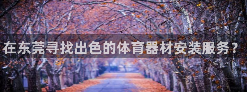 极悦平台官网登录入口：在东莞寻找出色的体育器材安装服