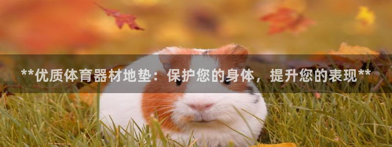 极悦平台注册太7.0.2.4好用吗：**优质体育器材