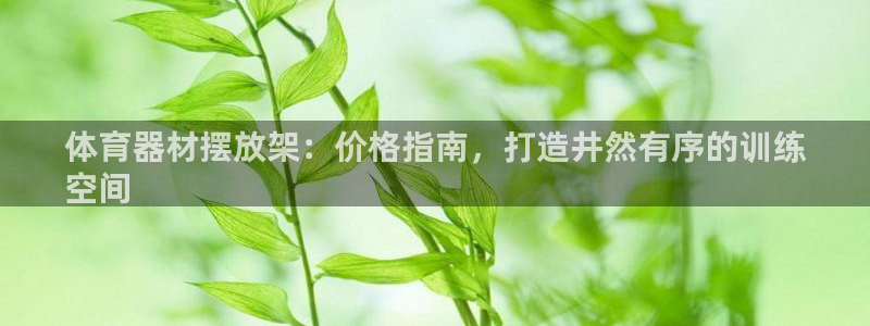 极悦娱乐负责人是谁：体育器材摆放架：价格指南，打造井