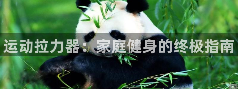 极悦平台和蓝狮平台区别：运动拉力器：家庭健身的终极指