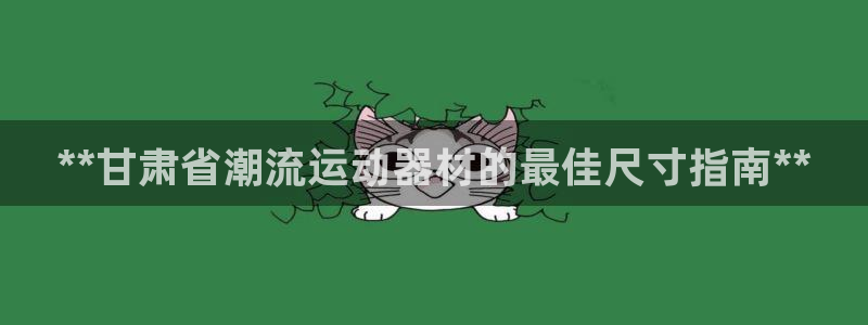 极悦平台注册和登录页面不一样：**甘肃省潮流运动器材