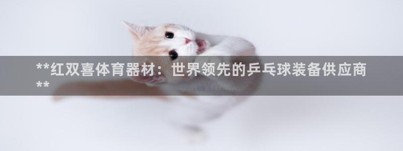 极悦平台安全吗可信吗：**红双喜体育器材：世界领先的