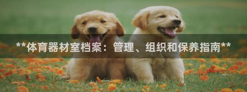 极悦平台登录不进去怎么回事：**体育器材室档案：管理