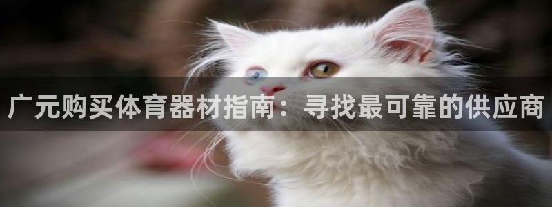 加盟极悦教育多少钱：广元购买体育器材指南：寻找最可靠