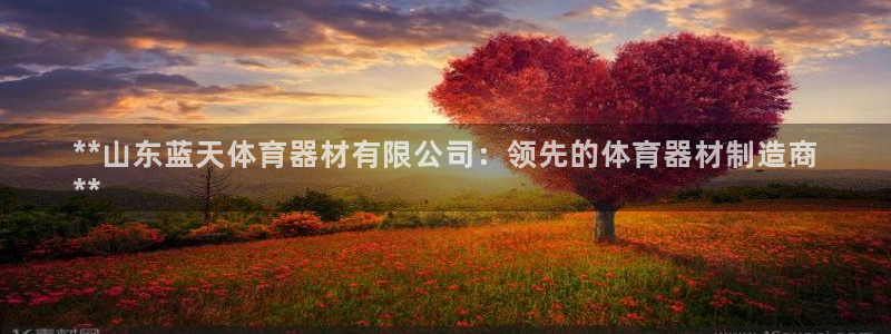 极悦平台官方网站下载：**山东蓝天体育器材有限公司：
