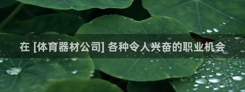 极悦平台代理怎么做赚钱：在 [体育器材公司] 各种令