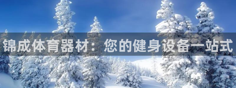 极悦娱乐官网app下载安装：锦成体育器材：您的健身设