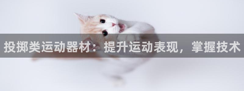 极悦娱乐官网app下载安装：投掷类运动器材：提升运动