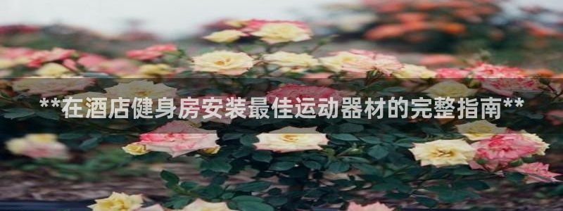 极悦娱乐的最新版本更新内容：**在酒店健身房安装最佳