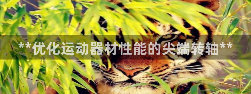 极悦平台创始人背景故事：**优化运动器材性能的尖端转