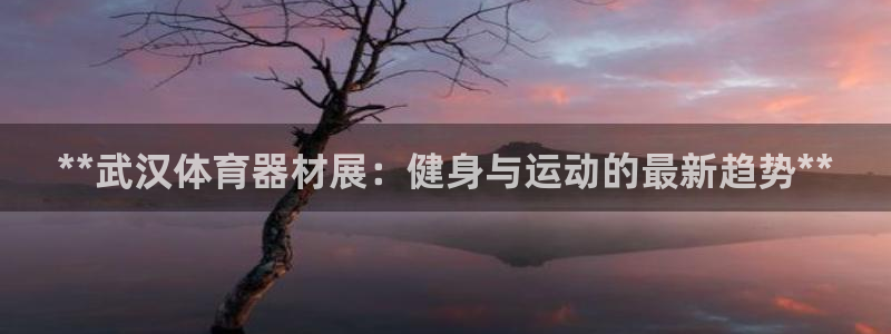 极悦平台非7O777：**武汉体育器材展：健身与运动