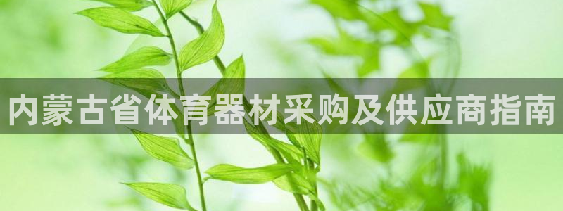 极悦娱乐的背景和历史背景介绍：内蒙古省体育器材采购及