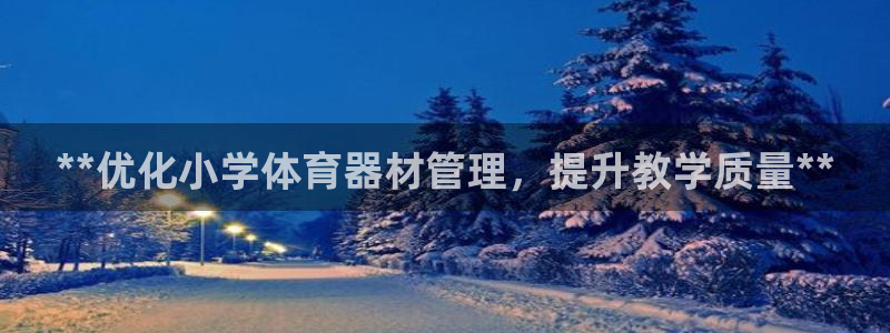 极悦娱乐：**优化小学体育器材管理，提升教学质量**