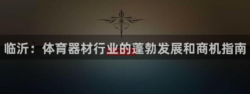 极悦平台集7O777：临沂：体育器材行业的蓬勃发展和