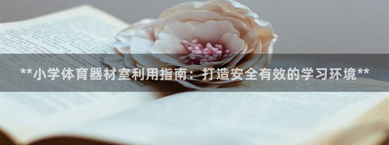 极悦平台注册资金多少亿：**小学体育器材室利用指南：