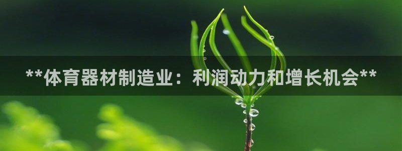 极悦平台官网登录网址：**体育器材制造业：利润动力和