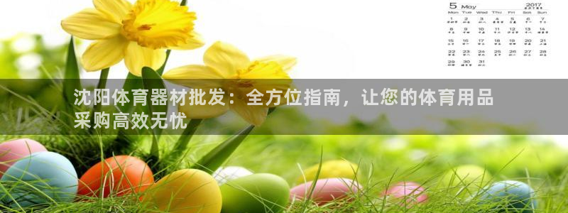 极悦平台代理怎么赚钱：沈阳体育器材批发：全方位指南，