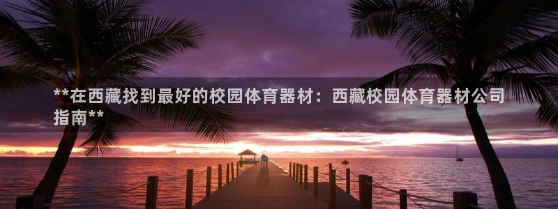 极悦平台官方网站下载：**在西藏找到最好的校园体育器