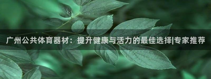 极悦娱乐的创始人背景故事：广州公共体育器材：提升健康