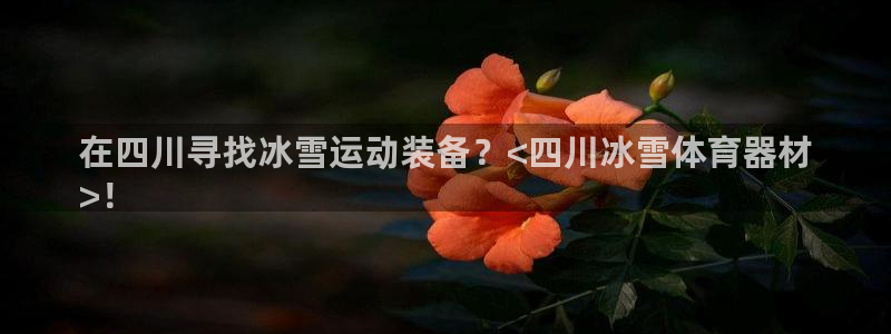极悦平台很7O777：在四川寻找冰雪运动装备？<四川