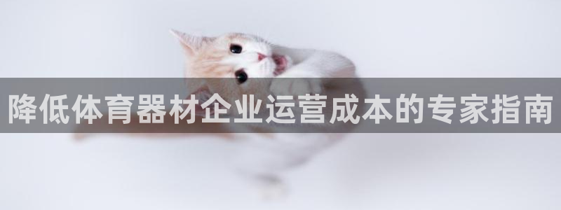 极悦平台注册登录不了：降低体育器材企业运营成本的专家