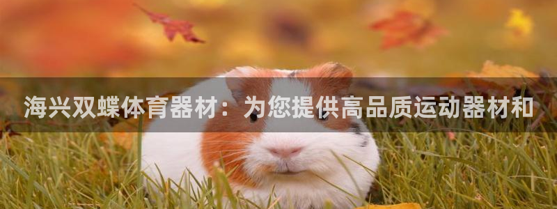 极悦平台登录最新版本更新内容怎么删除：海兴双蝶体育器