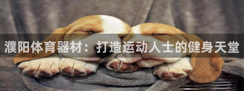 极悦平台注册用户名验证：濮阳体育器材：打造运动人士的