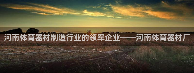 极悦平台注册失败如何解决呢：河南体育器材制造行业的领