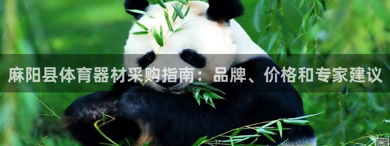 极悦娱乐德711.112扣费说明：麻阳县体育器材采购