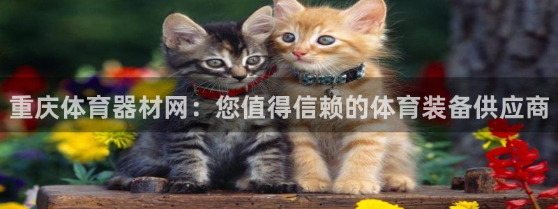 极悦官方网站app下载安装：重庆体育器材网：您值得信