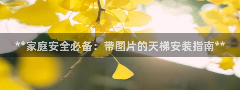 极悦平台和蓝狮平台区别大吗：**家庭安全必备：带图片