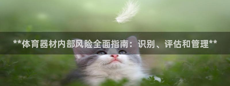 极悦平台登录7.0.2.4手机版下载安装：**体育器