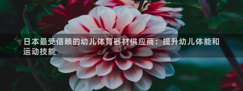 极悦平台官方网站入口链接下载：日本最受信赖的幼儿体育