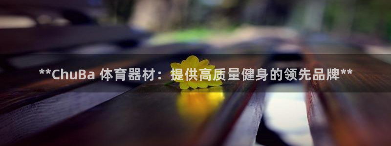极悦平台有风险吗：**ChuBa 体育器材：提供高质