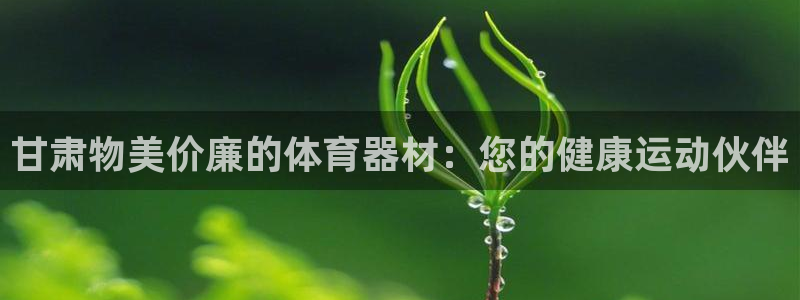 极悦平台注册：甘肃物美价廉的体育器材：您的健康运动伙