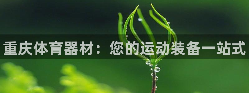 极悦平台app二维码怎么弄出来：重庆体育器材：您的运