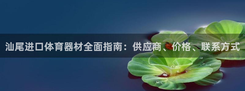 极悦娱乐现在叫什么：汕尾进口体育器材全面指南：供应商