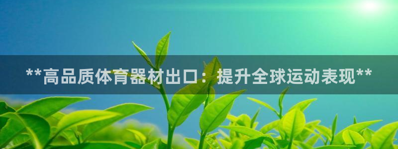 极悦平台很7O777：**高品质体育器材出口：提升全