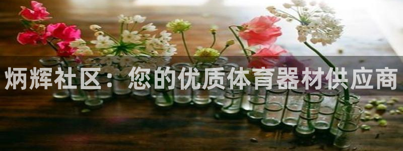 极悦平台登录不进去怎么回事呢：炳辉社区：您的优质体育