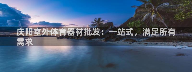 极悦官网的登录方法：庆阳室外体育器材批发：一站式，满